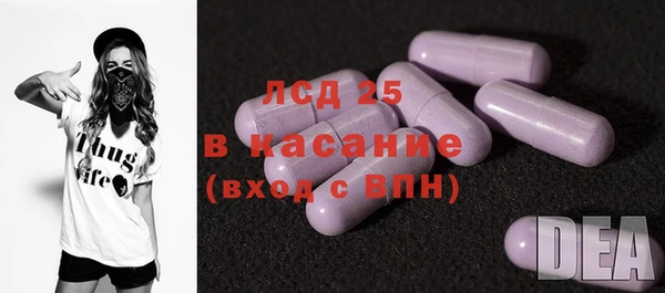 прущие грибы Михайлов