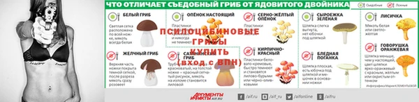 a pvp Аркадак
