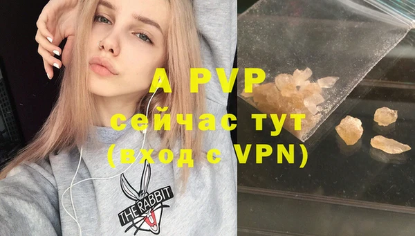 спиды Михайловск