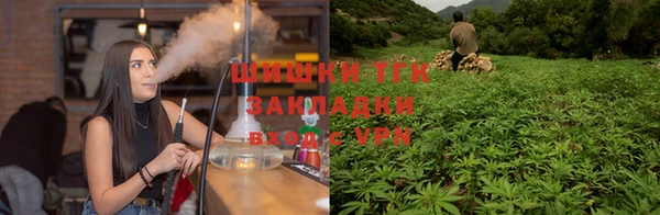 спиды Михайловск