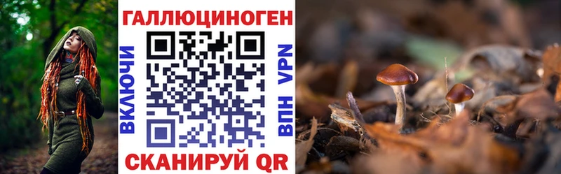 гидра вход  Сретенск  Галлюциногенные грибы Psilocybine cubensis  цена наркотик 